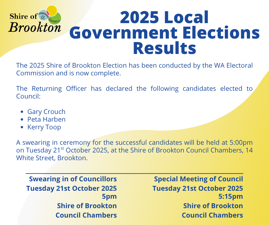 2025 Local Government Ordinary Elections - Results